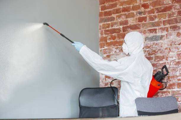 Best Airborne Mold Testing  in Englewood, NJ