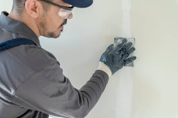Best Mold Remediation for Healthcare Facilities  in Englewood, NJ