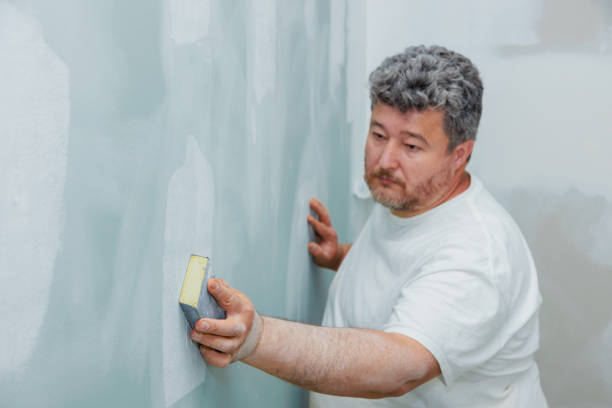 Best Airborne Mold Testing  in Englewood, NJ