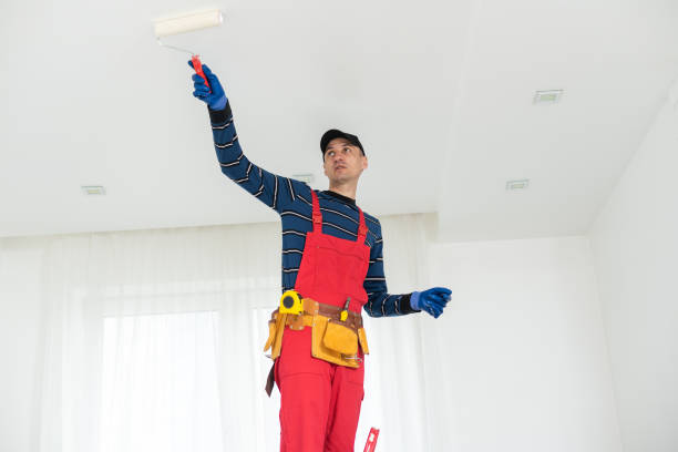 Best Black Mold Removal  in Englewood, NJ