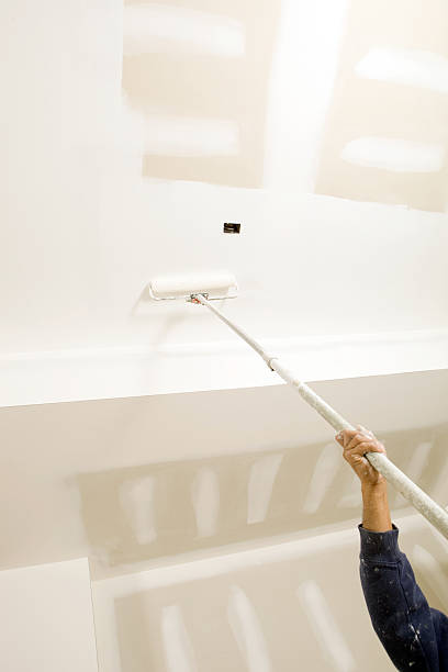 Best Mold Removal for HVAC Installations  in Englewood, NJ