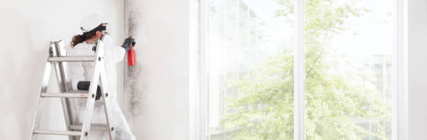 Best Air Quality Testing for Mold Spores  in Englewood, NJ