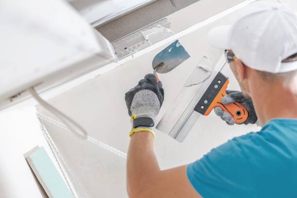 Best Commercial Mold Inspection  in Englewood, NJ